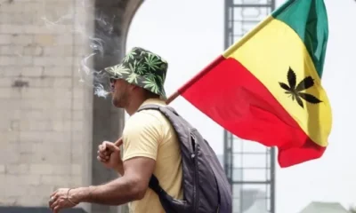 Consumir marihuana desde muy jóvenes afecta el desarrollo cognitivo, demuestra estudio con 11 mil adolescentes