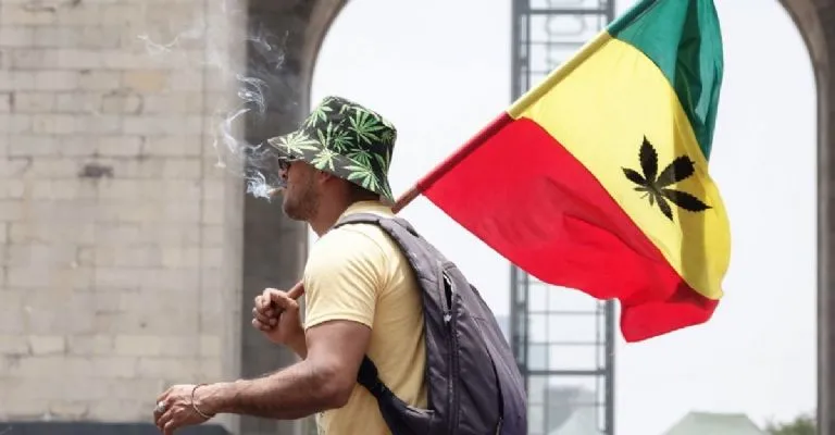 Consumir marihuana desde muy jóvenes afecta el desarrollo cognitivo, demuestra estudio con 11 mil adolescentes