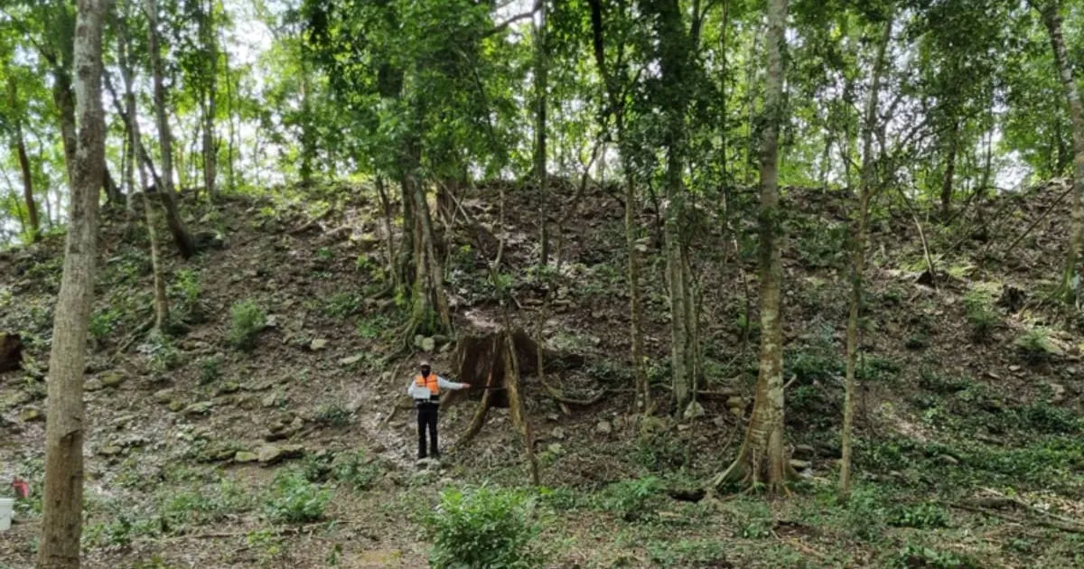 INAH confirma una ciudad maya monumental ocultra en la selva de Quintana Roo: Así es ‘El Jefeciño’