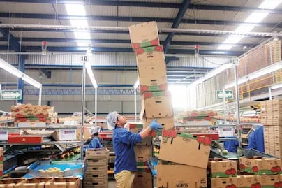 Anticipan que Campeche y Tabasco tendrán el peor ritmo económico en 2026