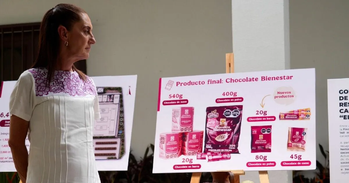 ¿Chocolate Bienestar a Europa Sheinbaum propone exportar cacao de pequeños productores