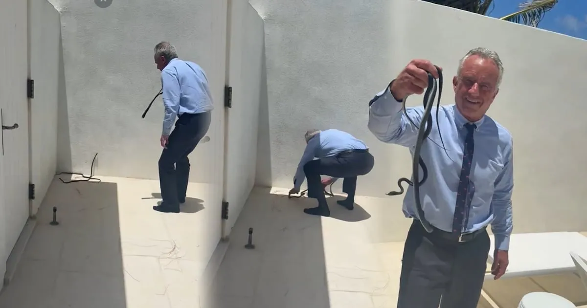 ¿Eran venenosas? Secretario de Salud de Trump causa revuelo por capturar serpientes con las manos
