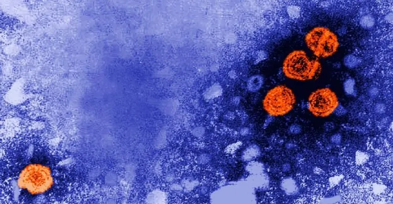 Fármaco experimental reduce la carga viral de la hepatitis B hasta que el paciente lo puede "mantener a raya"