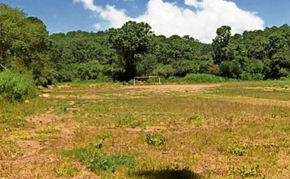 Rodeado por un frondoso bosque de pino y encino, Tapalpa Country Club está en medio de la naturaleza, entre montañas y áreas verdes. Foto: Archivo EL UNIVERSAL