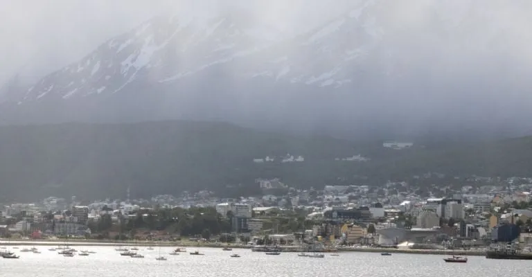 Las cercanías de la ciudad de Ushuaia se consideran demasiado frías para el ratón colilargo que transmite la cepa andina del hantavirus