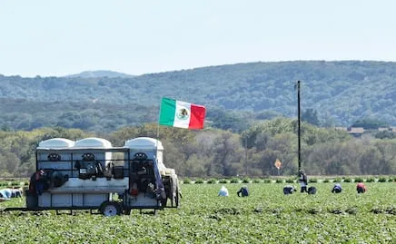Volkswagen de México abre una nueva nave de pintura en Puebla; moderniza con proceso eléctrico y sustentable