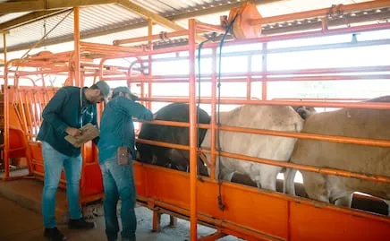 Brooke Rollins menciona buena relación en agricultura con gobierno de Sheinbaum; combaten gusano barrenador