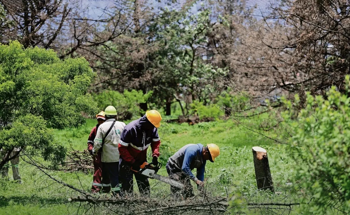 Cámara de Comercio Internacional pide a México actuar ante "desafíos ambientales"; plantea economía "más competitiva y resiliente"