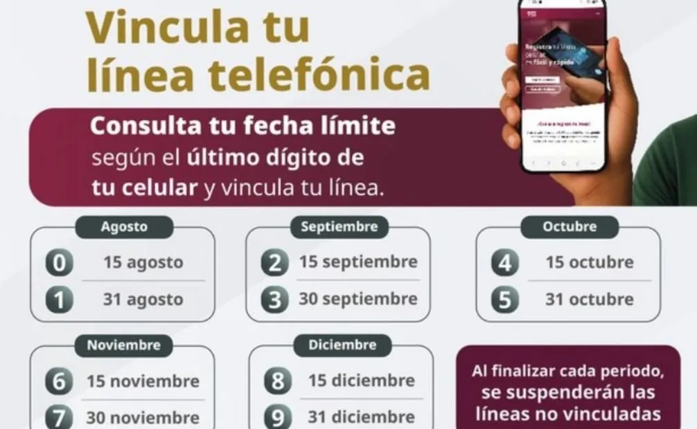 Calendario de vinculación de línea electrónica. Foto: Captura de pantalla