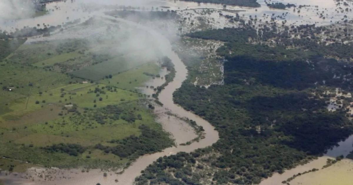 Derrame en río Pánuco enciende alarma en el sur de Tamaulipas; Pemex y Semar investigan