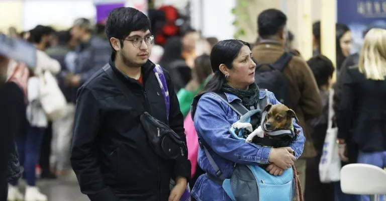 El número de mascotas y la industria para atenderlas crecen en la crisis de natalidad de Chile