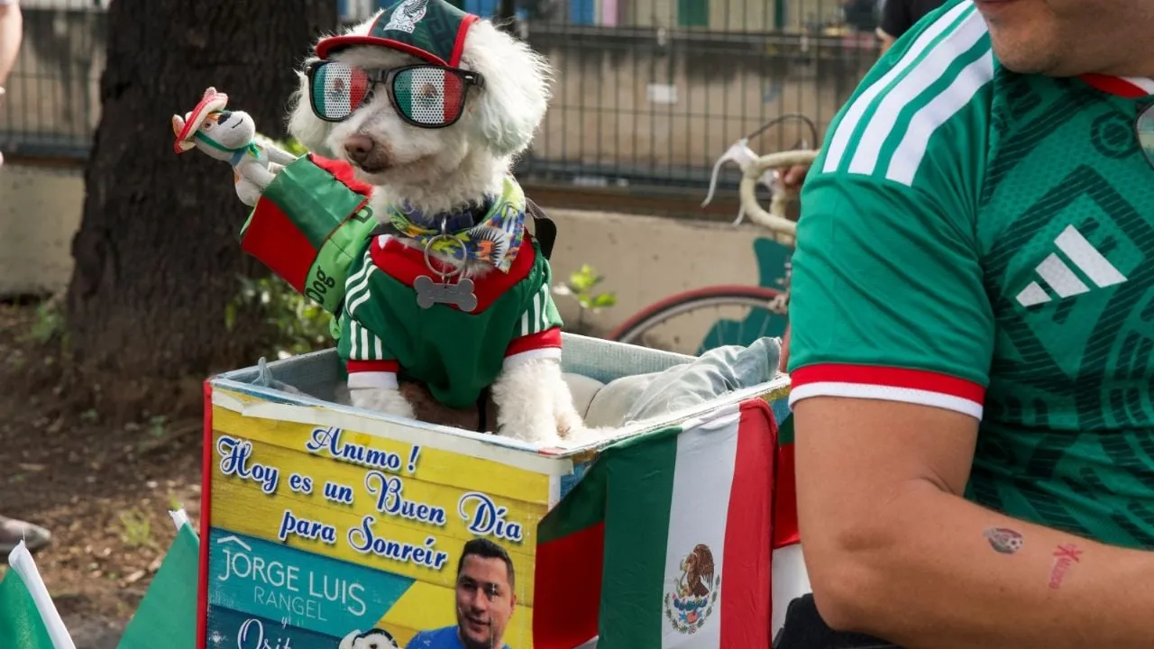 La mascota no oficial del Mundial: "Osito" el perro rescatado que roba corazones en CDMX