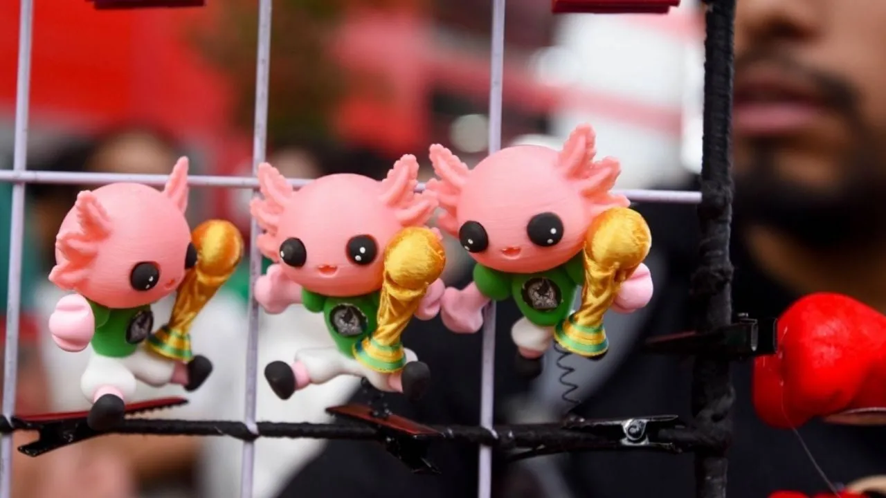 Los ajolotes están en todos lados en la CDMX rumbo al Mundial menos en su hábitat, acusan expertos