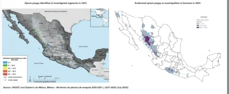 México es uno de los mayores productores de opioides del mundo, según informe de la ONU
