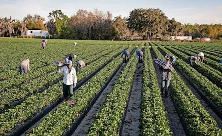 EU emite alerta para que instituciones financieras denuncien a trabajadores migrantes indocumentados; pide informe de actividad sospechosa