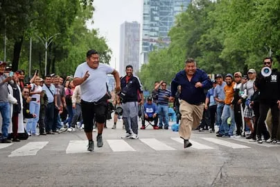 Profepa atiende a 6 animales lesionados y fuera de su hábitat en BCS; polluelos de águila, un búho y una serpiente, entre las especies