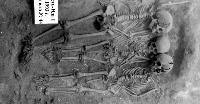 "Sorpresa total": el brote de peste más antiguo contradice lo que se creía sobre el origen esta enfermedad