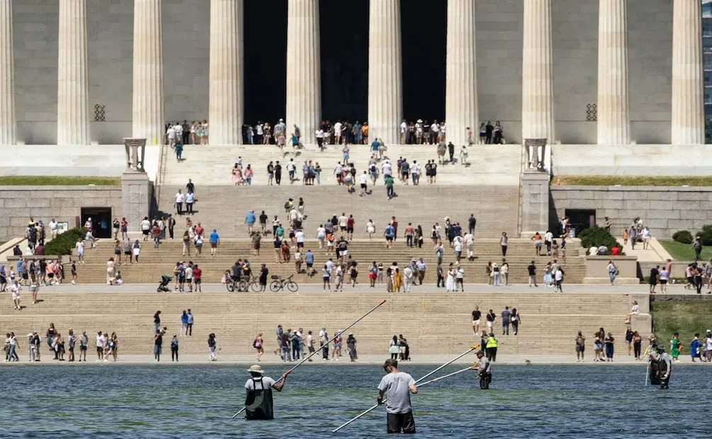 Operarios gubernamentales intentan eliminar la proliferación de algas en el estanque reflectante y mantener el color azul que Trump ansía para celebrar el próximo 4 de julio. Foto: AFP