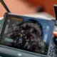 Viva y Aeroméxico ofrecen internet de alta velocidad para ver partidos de fútbol; ya esta operando en 10 unidades