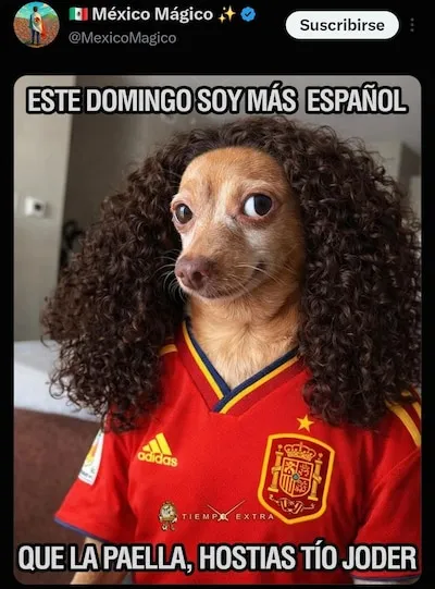 ¡BTS metió más goles en la final del Mundial! Los mejores memes que nos dejó de derrota de Argentina ante España