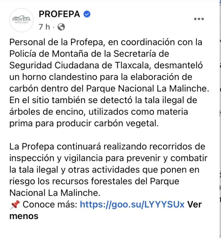 Desmantelan horno clandestino en el Parque Nacional "La Malinche", de Tlaxcala; producía carbón vegetal