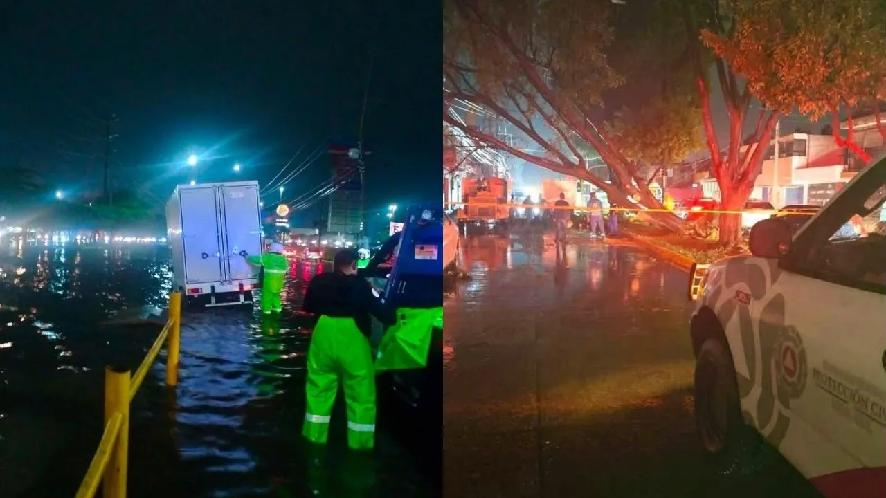 Fuertes lluvias en León dejan caos vial con cierre de principales avenidas y árboles caídos