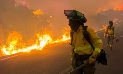Incendio forestal en España deja 12 muertos y 23 desaparecidos: ‘Es el más grave que ha ocurrido’