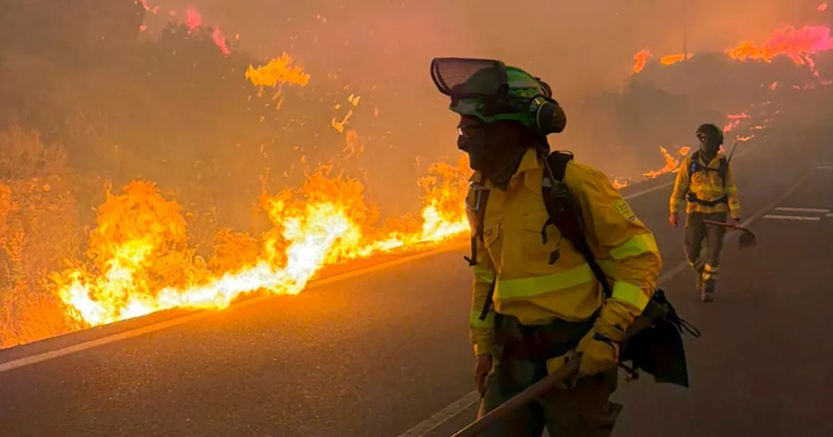 Incendio forestal en España deja 12 muertos y 23 desaparecidos: ‘Es el más grave que ha ocurrido’