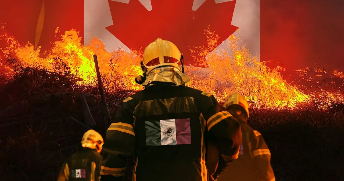 México envía refuerzos a Canadá: Despliega 104 brigadistas ante la emergencia por incendios forestales