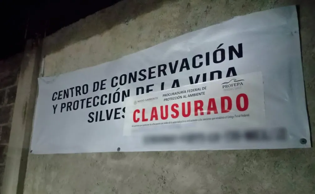 Clausura del Animal Experience México, un centro de conservación y protección de vida silvestre. Foto: Especial