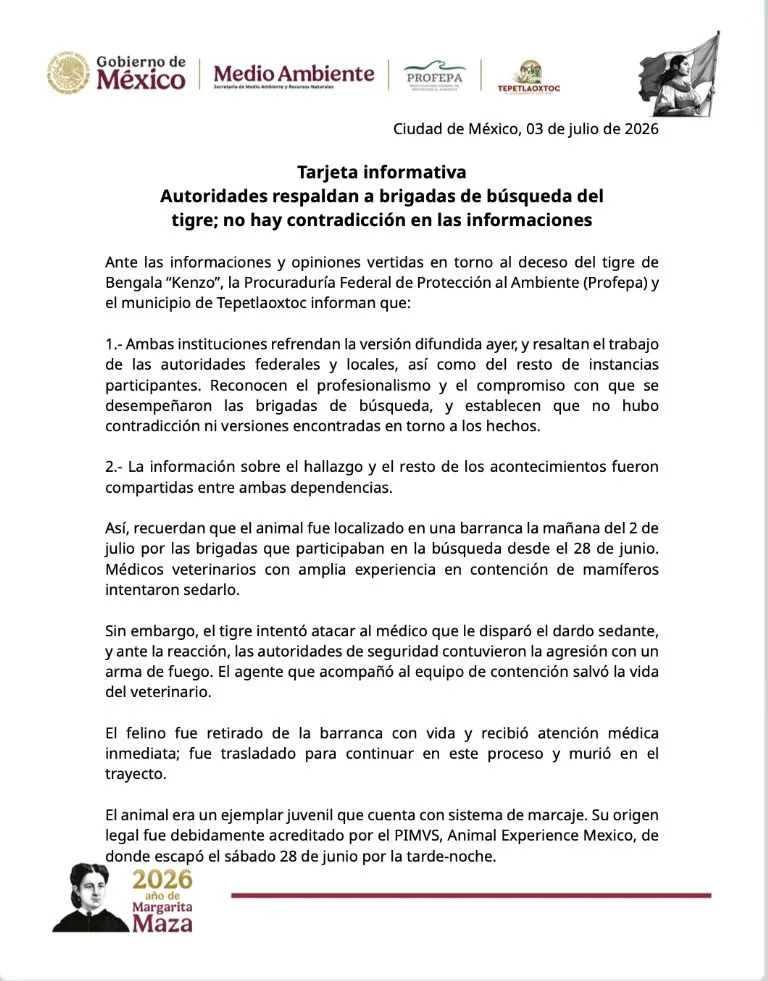 "Salvó la vida del veterinario": Profepa justifica disparo al tigre de Bengala Kenzo y asegura que murió en el trayecto