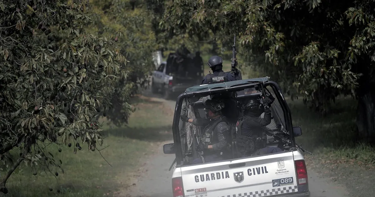 Detienen en Uruapan a ‘El Vikingo’, presunto extorsionador de aguacateros en Michoacán