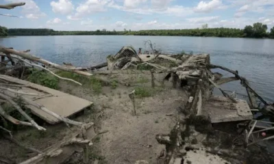 "El Titanic del Sava": barco histórico emerge en Serbia mientras el calor y la falta de lluvia secan los ríos de Europa