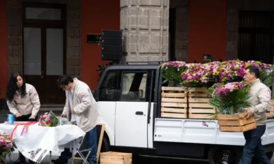 Presentan versión ‘tianguis’ de Olinia; abrirán producción a inversionistas extranjeros y nacionales