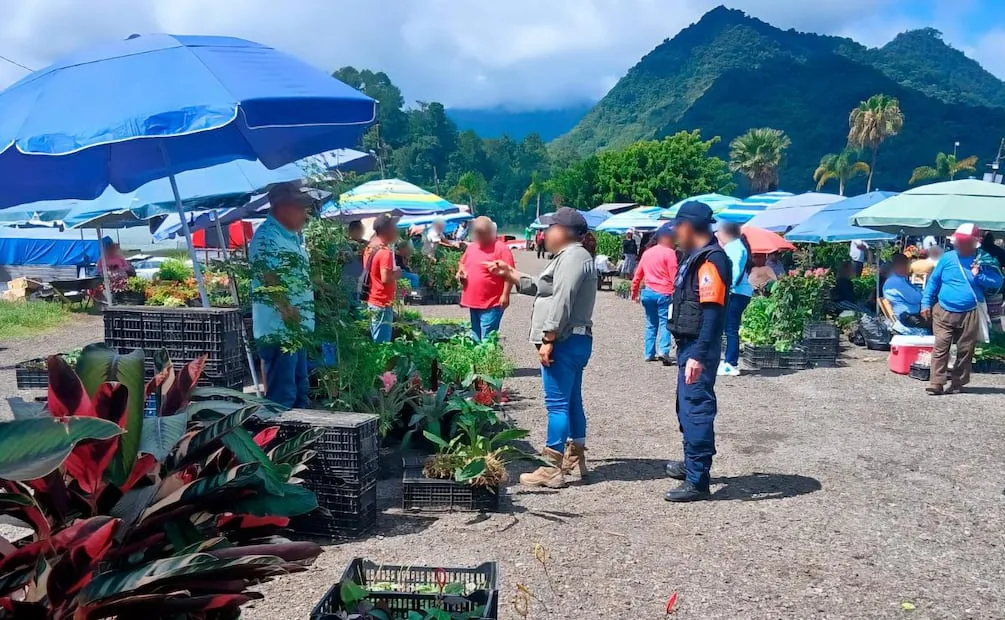 Profepa asegura 150 orquídeas y otras 21 plantas en tianguis de Puebla (05/08/2026). Foto: Especial