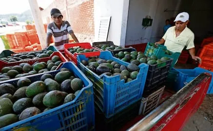 Republicanos piden a USTR priorizar resultados en revisión del T-MEC; exigen compromisos de México y Canadá