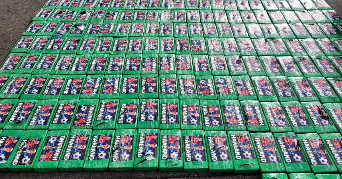 ¿Tenía la fuerza del vikingo? Decomisan cargamento de cocaína con imágenes de Erling Haaland en Ecuador