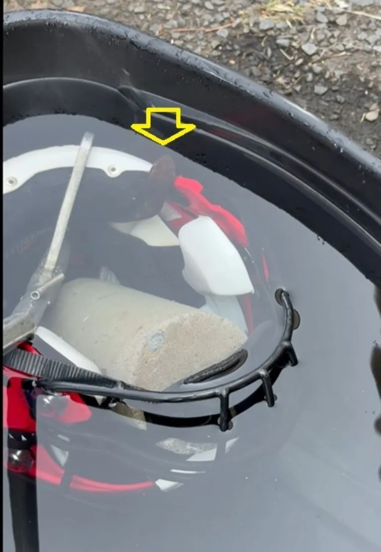 ¡Terror! Jugador de futbol americano en EU entrenó casi una hora con una serpiente venenosa en su casco