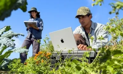 Agentes de IA bajo control; IBM refuerza su identidad y seguridad