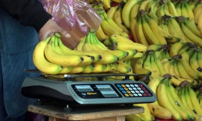 Calambre asegurado para tu pierna y cartera: ¿Por qué prevén aumento en el precio del plátano en 2027?