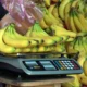 Calambre asegurado para tu pierna y cartera: ¿Por qué prevén aumento en el precio del plátano en 2027?