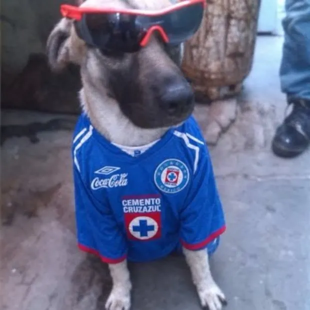 Cruz Azul MEMES