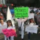 Cuotas recaudadas por turismo en Áreas Protegidas no van a su cuidado: organizaciones; más de la mitad se queda en Hacienda, acusan