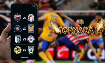 ¿Dónde ver la Jornada 14 de la Liga MX? Todos los partidos, canales y horarios