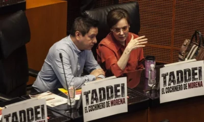 ‘El cochinero de Taddei sí es de Morena’, acusa la oposición en el Senado y oficialismo se deslinda