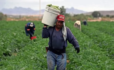 Tras shock energético, ONU advierte sobre posible crisis alimentaria mundial; precios agrícolas subieron por hidrocarburos más caros