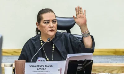 Guadalupe Taddei, la consejera del INE que acumuló superpoder