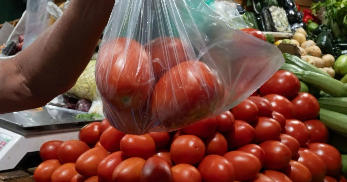 Le salió mal a Trump: Arancel al tomate mexicano encareció el producto en EU, asegura Ebrard