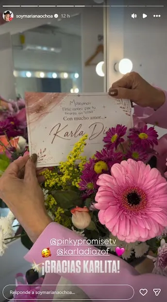 Mariana Ochoa acude al estudio de "Pinky promise", este lunes 26 de octubre, para grabar un programa en el que también aparecerá Cynthia Klitbo.
Foto: Instagram, vía @soymarianaochoa