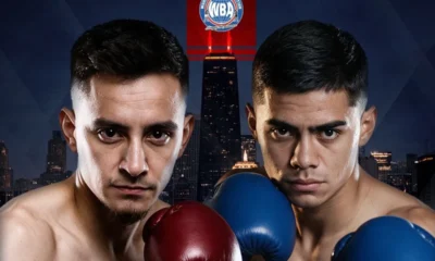 Peleas de boxeo HOY sábado 10 de octubre: Horarios y dónde ver EN VIVO las carteleras HOY - MILENIO